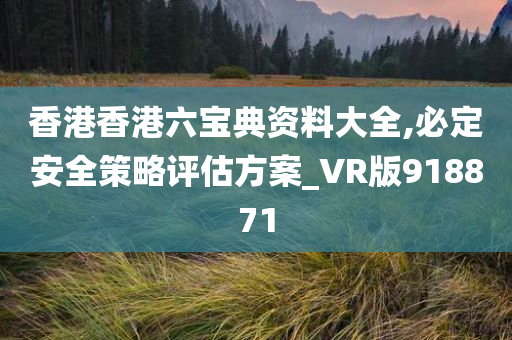 香港香港六宝典资料大全,必定安全策略评估方案_VR版918871