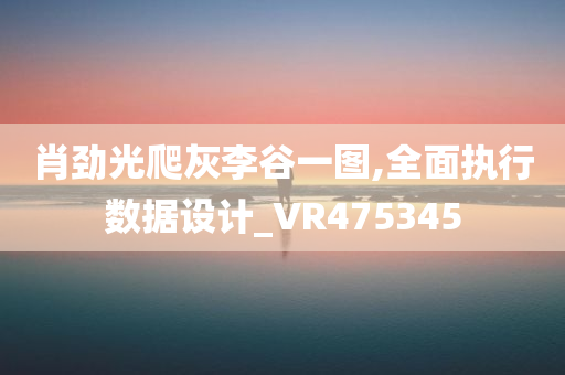 肖劲光爬灰李谷一图,全面执行数据设计_VR475345