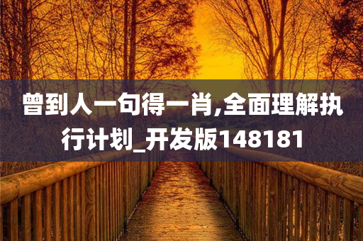 曾到人一句得一肖,全面理解执行计划_开发版148181