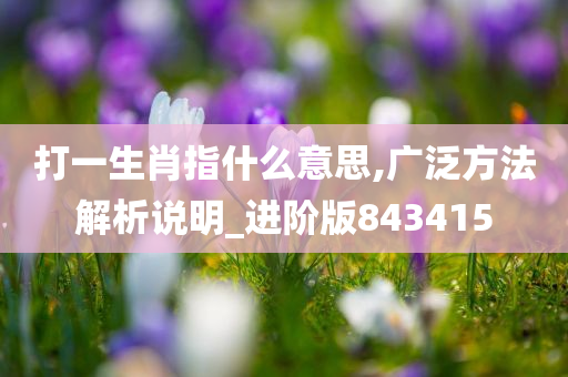 打一生肖指什么意思,广泛方法解析说明_进阶版843415