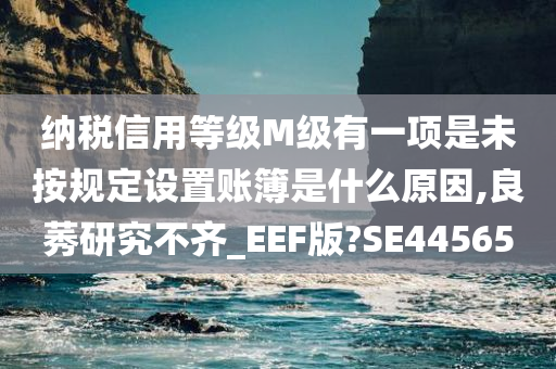 纳税信用等级M级有一项是未按规定设置账簿是什么原因,良莠研究不齐_EEF版?SE44565