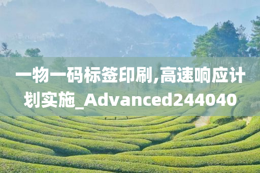 一物一码标签印刷,高速响应计划实施_Advanced244040