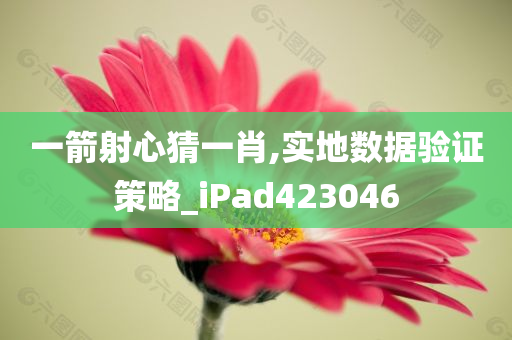 一箭射心猜一肖,实地数据验证策略_iPad423046