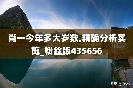 肖一今年多大岁数,精确分析实施_粉丝版435656