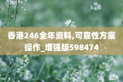 香港246全年资料,可靠性方案操作_增强版598474