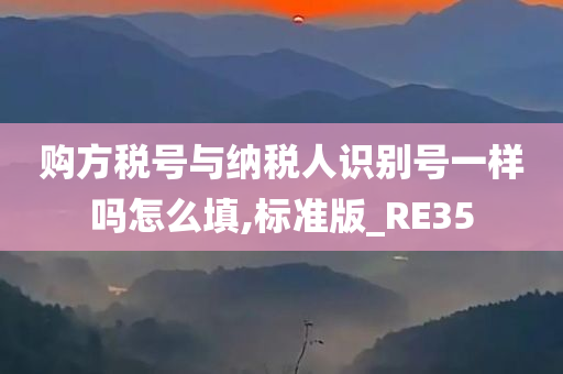 购方税号与纳税人识别号一样吗怎么填,标准版_RE35