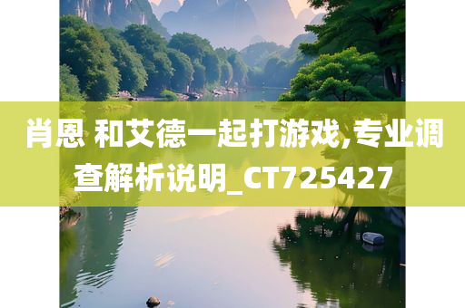 肖恩 和艾德一起打游戏,专业调查解析说明_CT725427