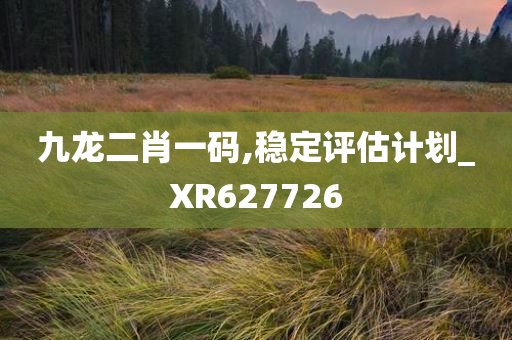 九龙二肖一码,稳定评估计划_XR627726