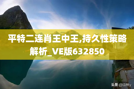 平特二连肖王中王,持久性策略解析_VE版632850