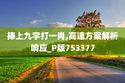 捧上九字打一肖,高速方案解析响应_P版753377