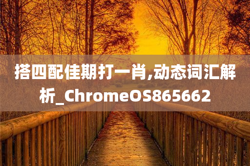 搭四配佳期打一肖,动态词汇解析_ChromeOS865662