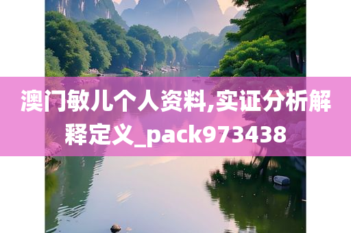 澳门敏儿个人资料,实证分析解释定义_pack973438