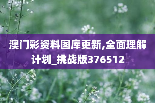 澳门彩资料图库更新,全面理解计划_挑战版376512