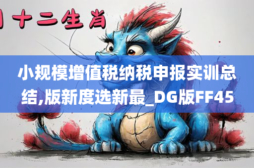 小规模增值税纳税申报实训总结,版新度选新最_DG版FF45