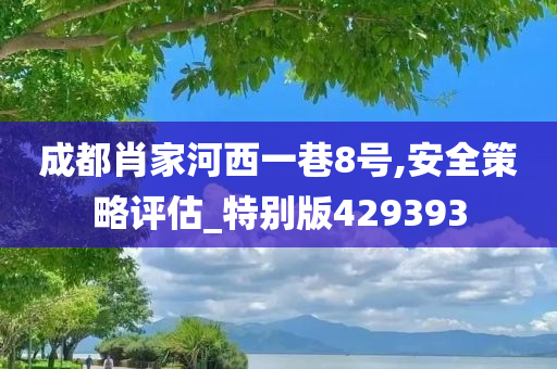 成都肖家河西一巷8号,安全策略评估_特别版429393