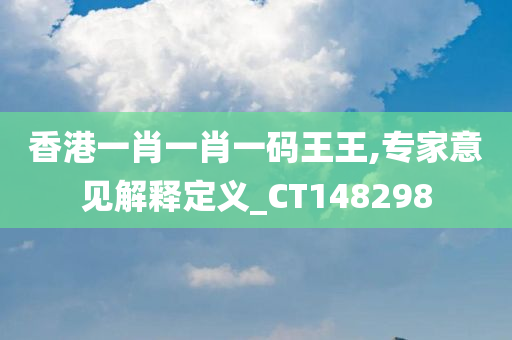 香港一肖一肖一码王王,专家意见解释定义_CT148298