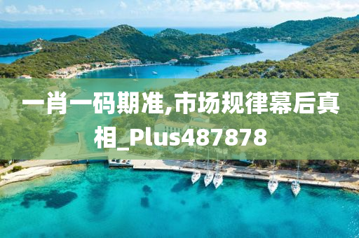 一肖一码期准,市场规律幕后真相_Plus487878