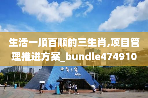 生活一顺百顺的三生肖,项目管理推进方案_bundle474910