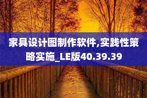 家具设计图制作软件,实践性策略实施_LE版40.39.39