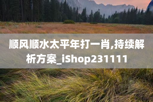 顺风顺水太平年打一肖,持续解析方案_iShop231111