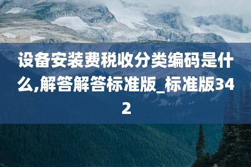 设备安装费税收分类编码是什么,解答解答标准版_标准版342