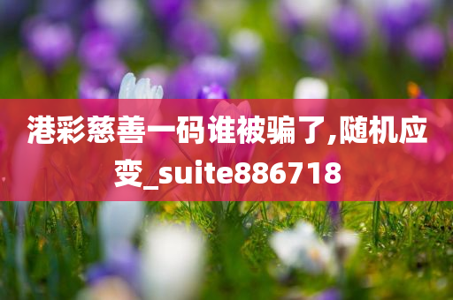 港彩慈善一码谁被骗了,随机应变_suite886718