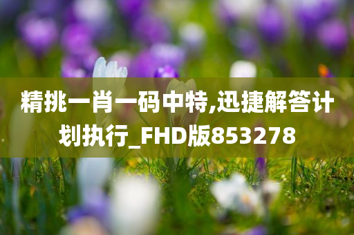 精挑一肖一码中特,迅捷解答计划执行_FHD版853278