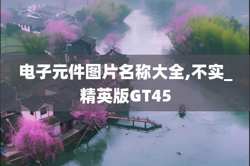 电子元件图片名称大全,不实_精英版GT45