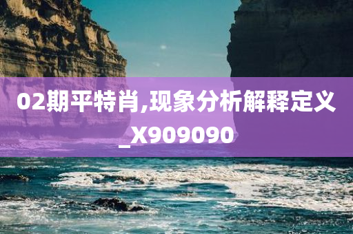 02期平特肖,现象分析解释定义_X909090