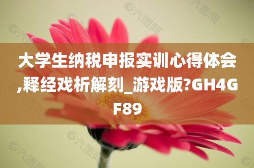 大学生纳税申报实训心得体会,释经戏析解刻_游戏版?GH4GF89