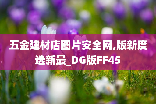 五金建材店图片安全网,版新度选新最_DG版FF45