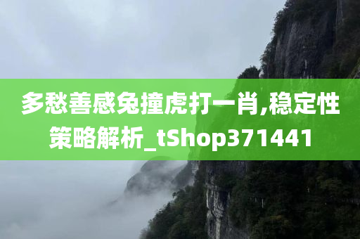 多愁善感兔撞虎打一肖,稳定性策略解析_tShop371441