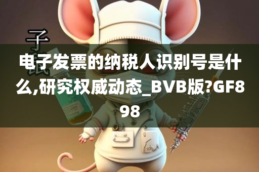 电子发票的纳税人识别号是什么,研究权威动态_BVB版?GF898