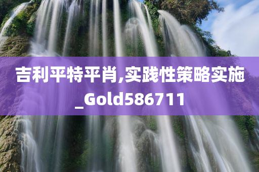 吉利平特平肖,实践性策略实施_Gold586711