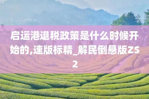 启运港退税政策是什么时候开始的,速版标精_解民倒悬版ZS2