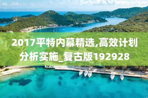 2017平特内幕精选,高效计划分析实施_复古版192928