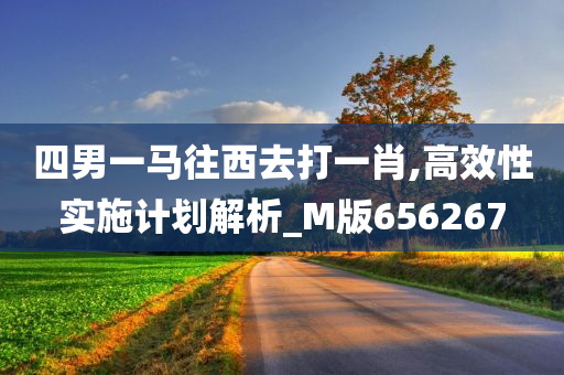 四男一马往西去打一肖,高效性实施计划解析_M版656267