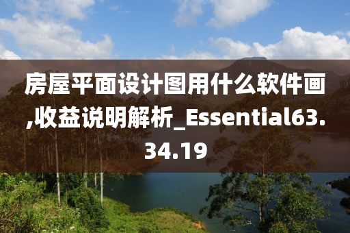 房屋平面设计图用什么软件画,收益说明解析_Essential63.34.19