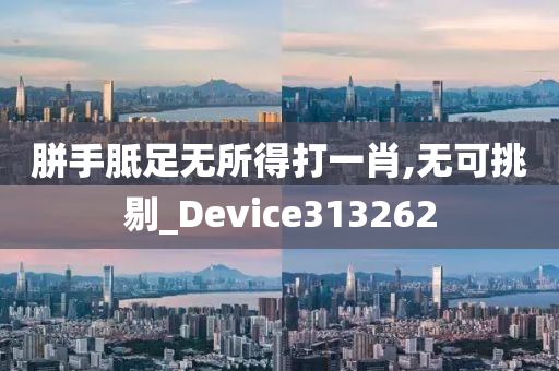 胼手胝足无所得打一肖,无可挑剔_Device313262