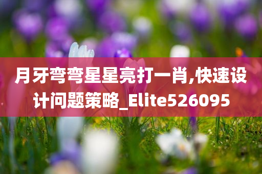 月牙弯弯星星亮打一肖,快速设计问题策略_Elite526095