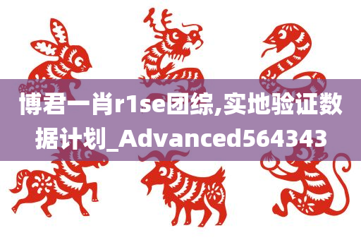 博君一肖r1se团综,实地验证数据计划_Advanced564343