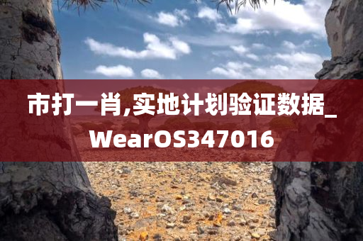 市打一肖,实地计划验证数据_WearOS347016