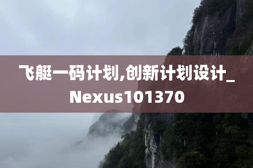 飞艇一码计划,创新计划设计_Nexus101370