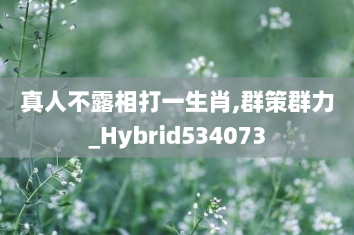 真人不露相打一生肖,群策群力_Hybrid534073