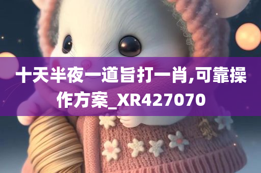 十天半夜一道旨打一肖,可靠操作方案_XR427070