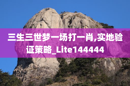 三生三世梦一场打一肖,实地验证策略_Lite144444