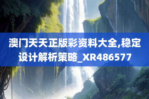 澳门天天正版彩资料大全,稳定设计解析策略_XR486577