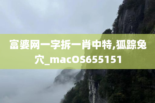 富婆网一字拆一肖中特,狐踪兔穴_macOS655151