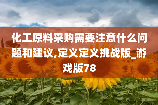 化工原料采购需要注意什么问题和建议,定义定义挑战版_游戏版78