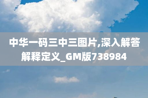 中华一码三中三图片,深入解答解释定义_GM版738984